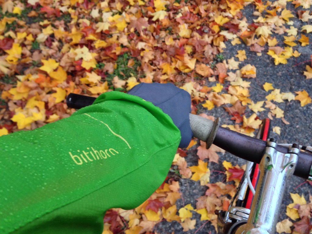 Autumn cycling commute