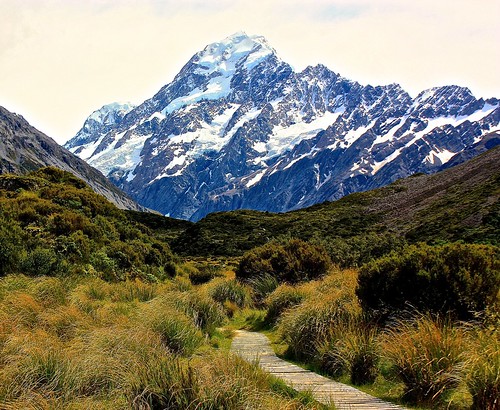 Mt. Cook