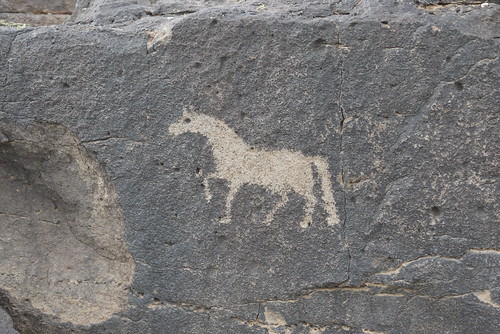 horse desert mongolia gobi petroglyphs