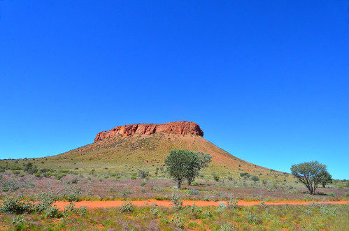 newhaven outback australianoutback outbackaustralia 17south tanamidesert pathslesstravelled nyirippi