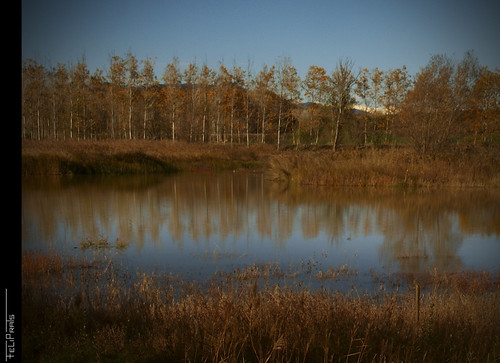 autumn mirror reflex reflejo otoño tardor mirall laselva sils estanys estanysdesils