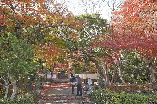 【写真】2013 紅葉 : 浄住寺/2020-11-15/IMGP4049