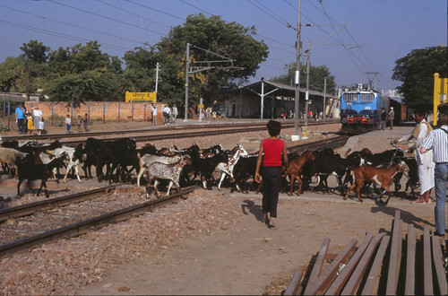 indianrailway dhaulpur railwaysinindia dhaulpur6december1990 6december1990