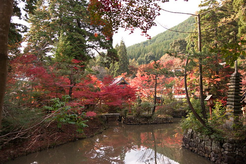 【写真】2012 紅葉 : 鍬山神社/2021-12-10/IMGP5859