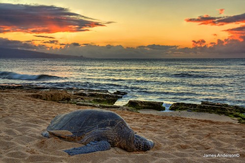 sunset usa hawaii maui oceanbeach greenseaturtle jamesanderson japhotography jamesa1 pathfinderblues 888pathfinder 818pathfinder