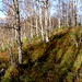Harstad Hiking @heidenstrom www.bjornheidenstrom.com  Norway nature-012