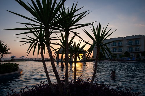 sunset mike pool swimming swim marriott hotel swimmingpool palmtree oman curd salalah mikeysee mikecurdphotography mikecurd