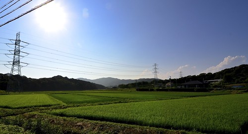 sunny clear shizuoka 静岡県 晴 湖西市 kosaishi