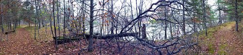 autumn panorama tree forest river woods october path michigan fallen menominee