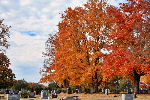 autumn orange fall cemetery graveyard tennessee fallcolors smyrna mapleview