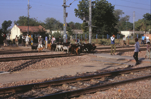 indianrailway dhaulpur railwaysinindia dhaulpur6december1990 6december1990