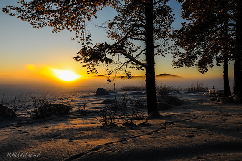 schnee winter sunset snow fog tour sonnenuntergang nebel forrest sweden hiking schweden wilderness wald enchanted wildnis västernorrlandslän betarsjön
