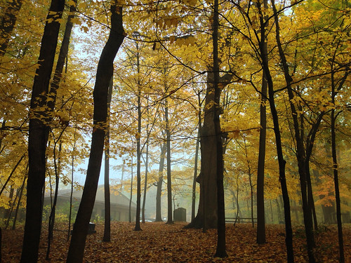 county autumn trees sky lake color fall yellow october trails indiana morgan 2014 morgancounty