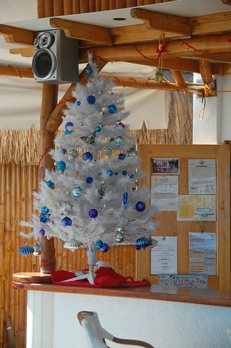 Tropical Christmas tree