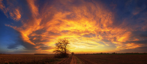 sunset panorama tree clouds scenery wide cloudscape