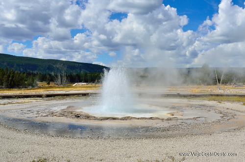 VIAJE COSTA OESTE EE.UU. - Blogs de USA - Yellowstone - Zona Sur (7)