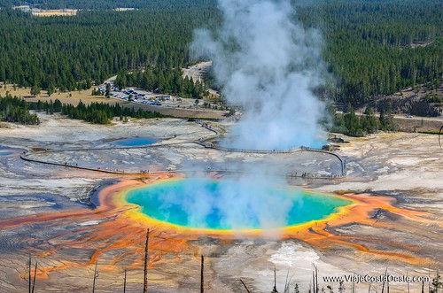 VIAJE COSTA OESTE EE.UU. - Blogs de USA - Yellowstone - Zona Sur (4)