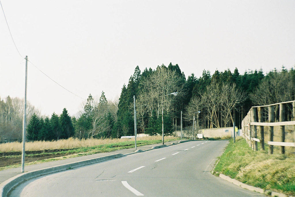 函館の道