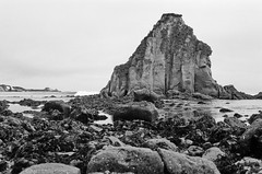 The Tide Pools Just South of Iversen Cove - Nikon FE - Nikkor 50mm f/1.4 AI - TMAX 100