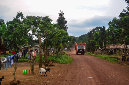 Roads of Lekoumou province, Congo