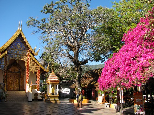 Patio con árboles en el Wat Phra That Doi Suthep