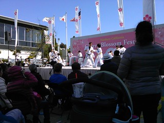 Cherry Blossom Festival 2014