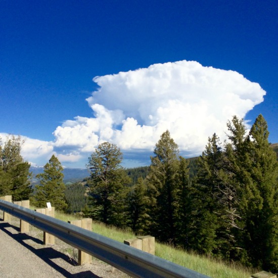 Hi Sugarplum | Summer in Big Sky, Montana