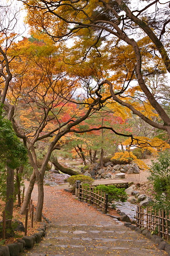 【写真】2012 紅葉 : 円山公園/2021-09-23/IMGP7998