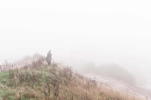 fog landscape denmark danmark tåge landskab djursland