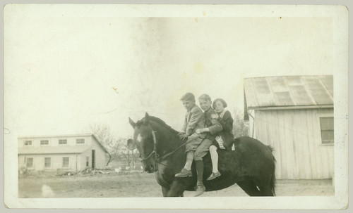 Three children and a horse