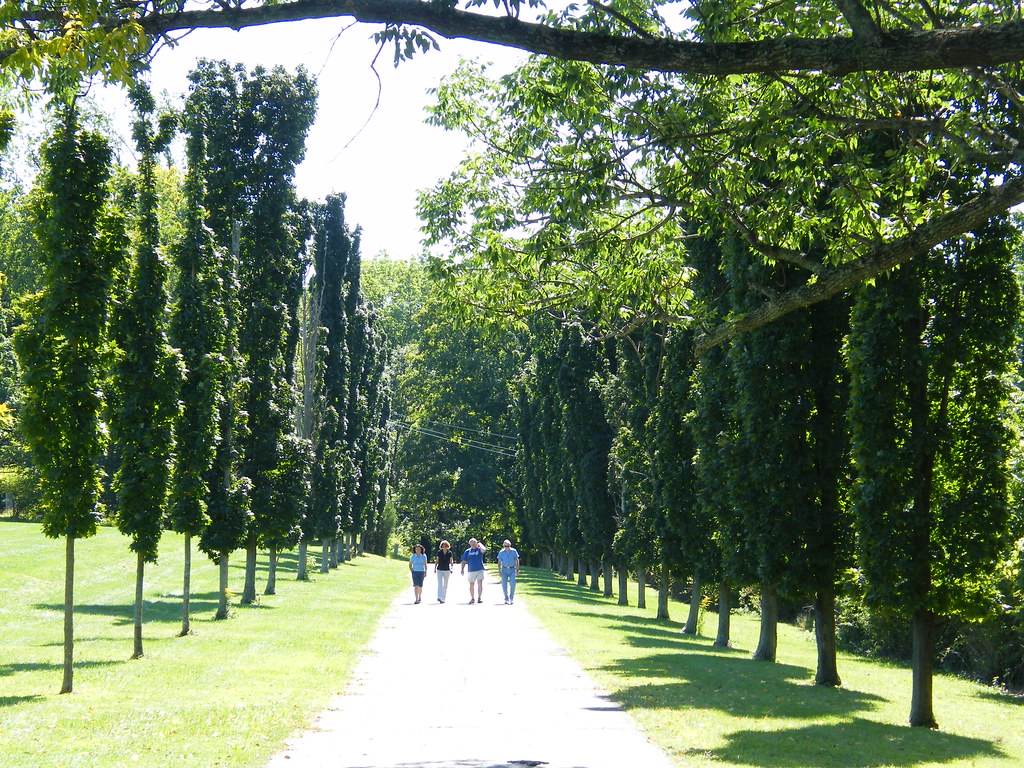 Walking Between Trees