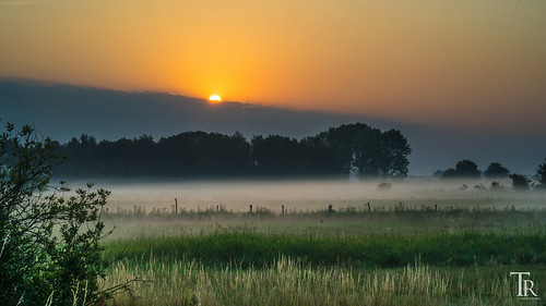 field misty fog clouds sunrise landscape nebel sony natur landschaft sonnenaufgang morgen naturpark westhavelland