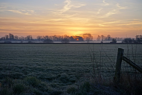 sunrise dawn morning winter early field frost gate droplets dew morningdew