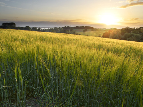 uk sunset england colour field landscape suffolk crop