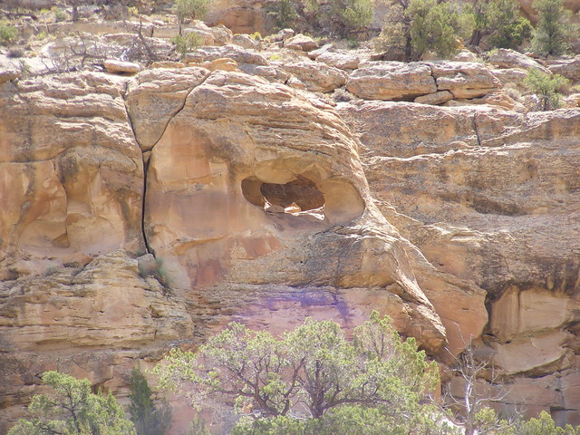 New Mexico Natural Arch NM-390 Little Palluche Canyon Arch