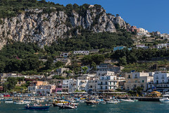 Capri Harbour