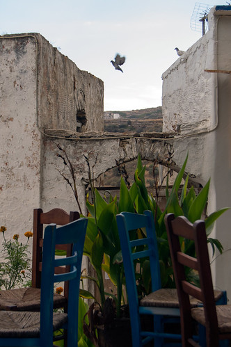 chairs greece paros lefkes flyingbird potd:country=gb