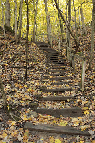 autumn fall leaves stairs climb trail forestparknaturecenter peoriaheightsillinois peoriaparkdistrict