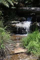 Waterfall on stream