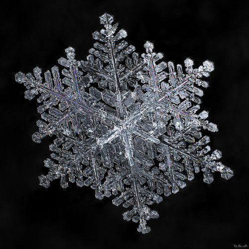 snowflake winter snow cold macro ice nature water crystal science mpe focusstacking donkom