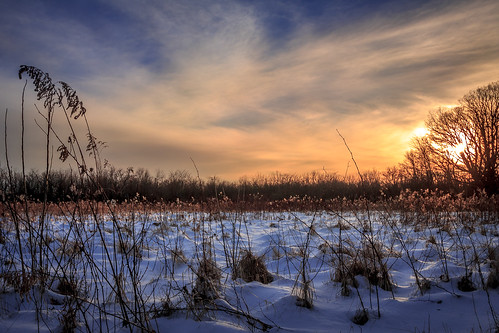 winter sunset snow outdoors prairieoaks