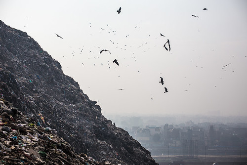 india horizontal asia asien delhi indien gazipur newdelhi landfill müllkippe neudelhi mülldeponie 2013 wastepickers