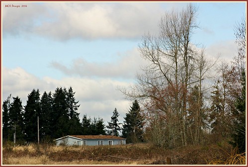trees houses winter nature clouds canon landscapes washington picmonkey:app=editor