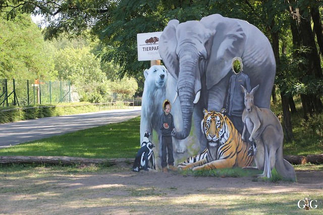 Tierpark Friedrichsfelde 02.08.201565