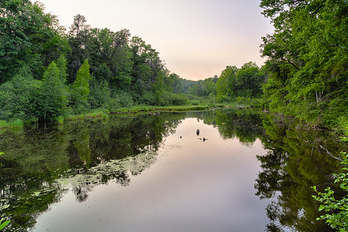 trees sunset sky water creek reflections river evening weeds shore hdr canonef24105mmf4lis
