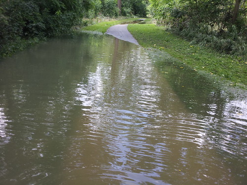 Flood Aftermath in West Deane Park