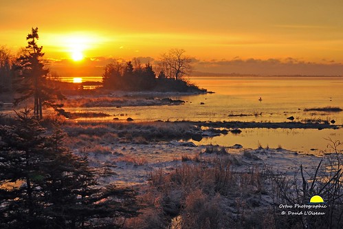winter sunrise coleharbour davidloiseau ortusphotographic