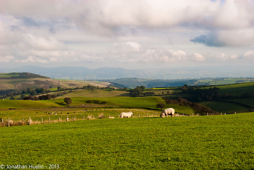 green wales landscape nikon view sheep hills vista denbighshire d3000