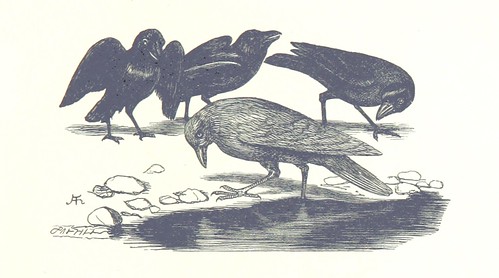 Image taken from page 93 of '[Sing-Song. A nursery rhyme book. ... With ... illustrations by A. Hughes, etc.]'