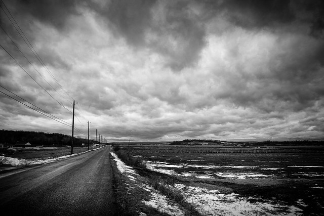 The Road - Sony RX10